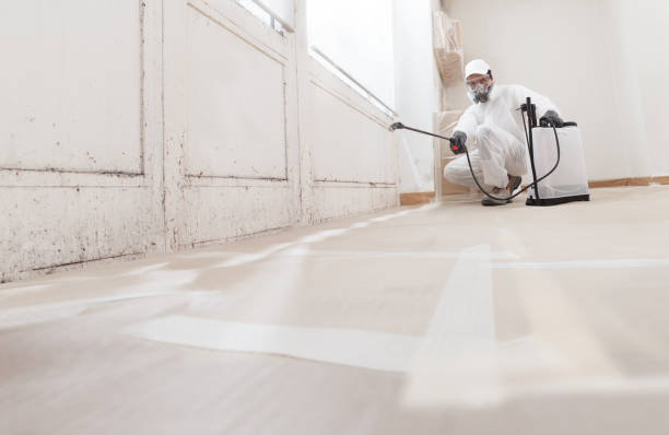 24/7 Emergency Mold Remediation experts in Horntown, VA